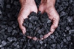 ۱۷ کیسه زغال قاچاق در دهدشت کشف شد/ تشکیل ۱۵ پرونده از ابتدای سال