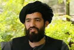 سخنگوی وزارت خارجه طالبان منصوب شد