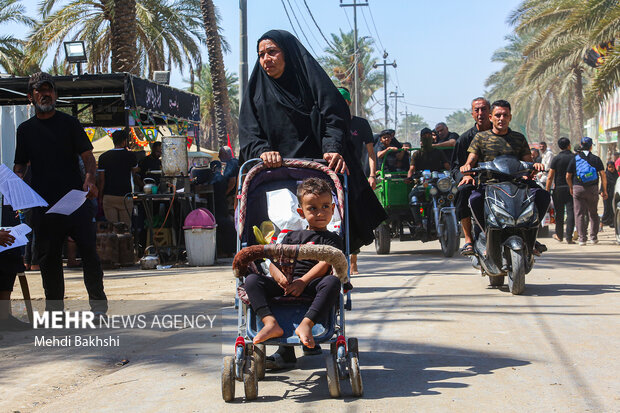 Pilgrims trekking towards Karbala
