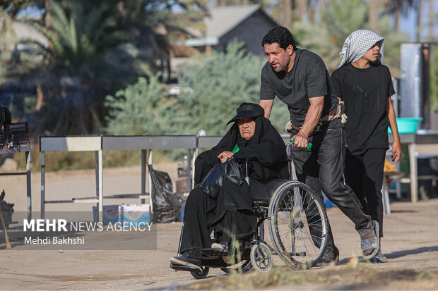 Pilgrims trekking towards Karbala
