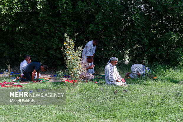 Pilgrims trekking towards Karbala
