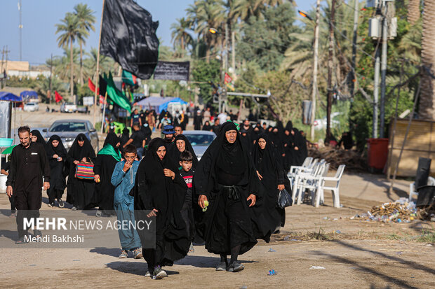 Pilgrims trekking towards Karbala
