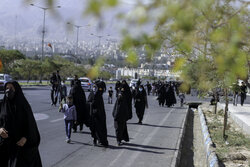 پیاده‌روی اربعین در مسیر بقاع متبرکه استان بوشهر برگزار می‌شود