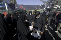 پیش بینی حضور ۴ میلیون نفر در راهپیمایی جاماندگان اربعین تهران