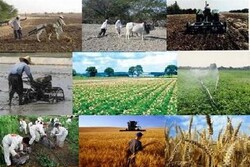 برداشت خارج از فصل مزیت صادرات محصولات کشاورزی هرمزگان است