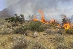 مهار حریق در جزیره آشوراده/ ۲۲ هکتار پوشش گیاهی در آتش سوخت