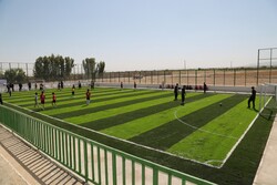 ایجاد ۵۰ زمین چمن ورزشی در مدارس البرز آغاز شد