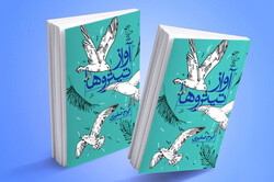 قصه رئیسعلی و افسانه پرنده‌های بوشهر برای جلوگیری از سقوط آسمان