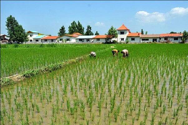 فروش زمین به اتباع خارجی در مزارع مازندران/پای دلالان در میان است