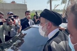 رئیس جمهور در نخلستان‌های استان بوشهر