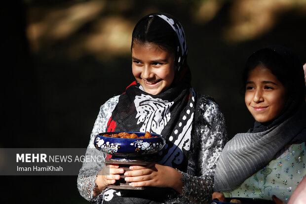 1st National Plum Festival at “Heidareh Ghazikhani” Village
