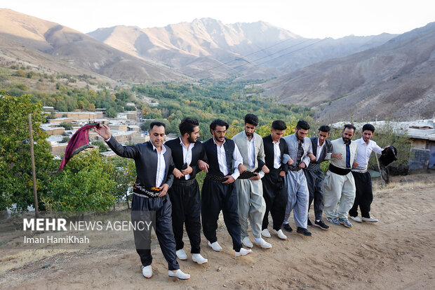 اولین جشنواره ملی آلو در روستای حیدره قاضی خان