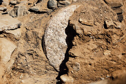 Discovery of 1st water mill in Hamedan