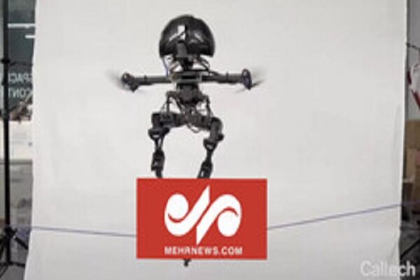 VIDEO: Researchers develop 1st bipedal robot that jumps