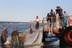 صیادان تورهای ماهی گیری را از شمال خلیج فارس خارج کنند