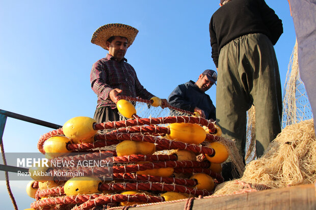 Fisherman in Gilan prov. in 1st day of fishing season
