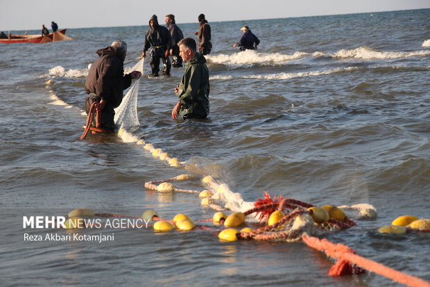 Fisherman in Gilan prov. in 1st day of fishing season
