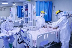 ۶۱ بیمار مبتلا به کرونا در مراکز درمانی زنجان بستری هستند