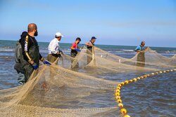 Fishing begins in Mazandaran Sea