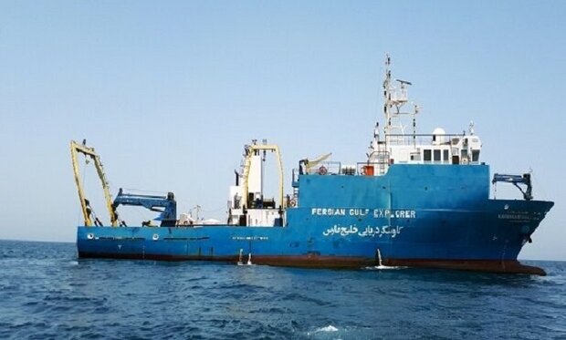 فراوانی پستانداران دریایی در دریای عمان بیشتر از ‏خلیج فارس است
