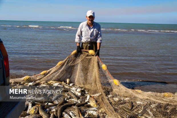 Fishing begins in Mazandaran Sea