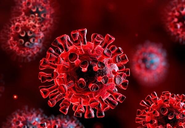 ۷۴ مورد جدید مبتلا به کرونا ویروس در ایلام شناسایی شد