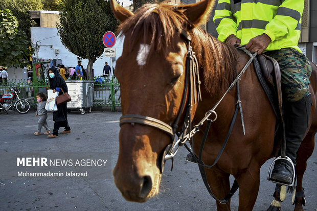 مردم در رژه اقتداری یگان اسب سوارحاضر هستند 