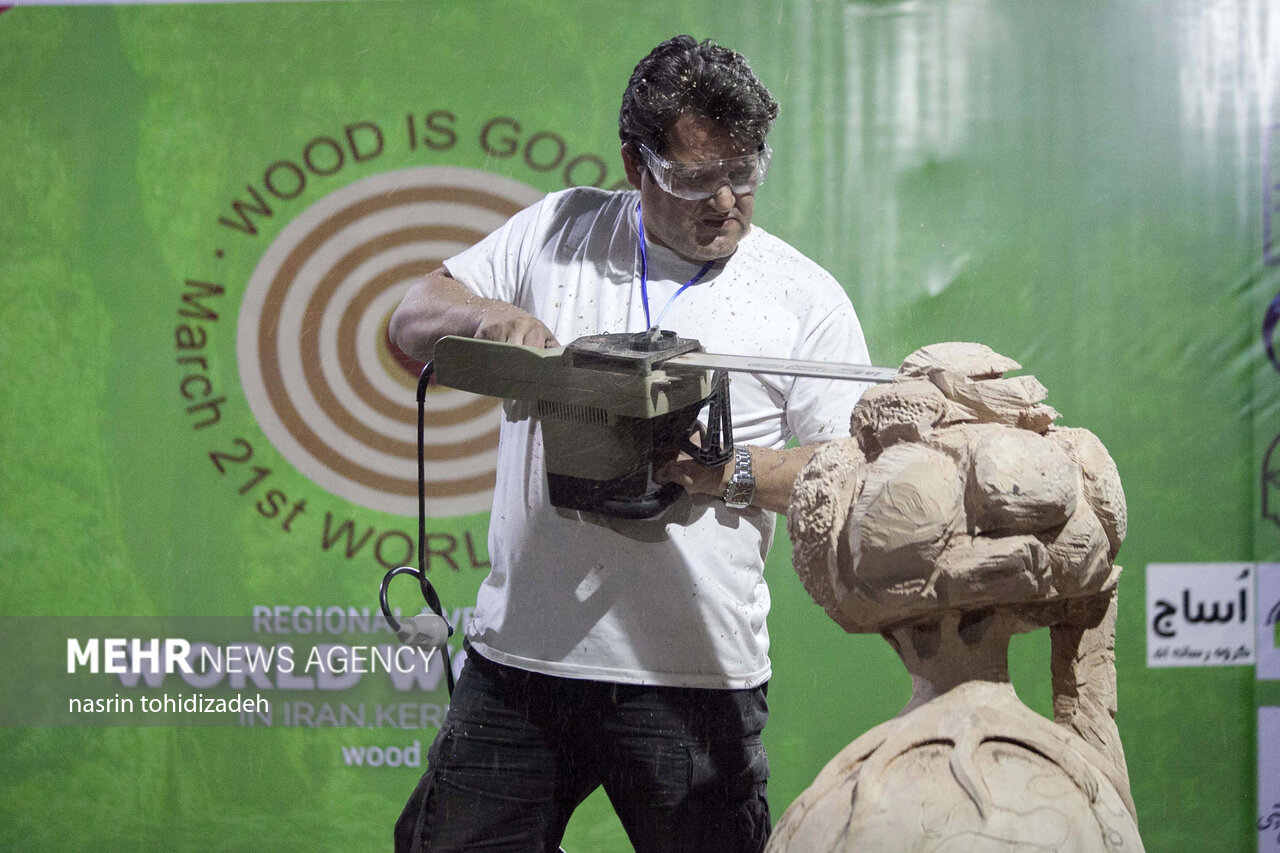 طاق‌بستان میزبان اولین رویداد بین‌المللی روزجهانی چوب درخاورمیانه