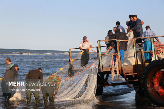 تلاش صیادان گیلانی برای کسب روزی از دریا در نخستین روز فصل صید