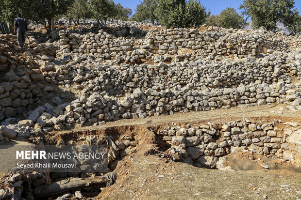 آثار زلزله در روستای کبک ممدرضا