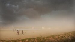 6 dead in Illinois as dust storm hit the state