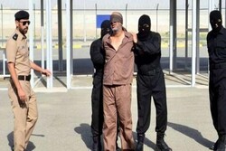 بیانیه پنج نهاد فرهنگی بین ‏المللی درباره اعدام‌های اخیر عربستان