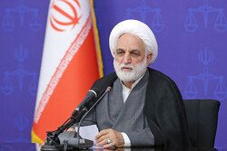 تاکید بر تقویت کارکرد شورای عالی ایرانیان/از ‏ظرفیت های دیپلماسی قضایی خوب استفاده نشده است