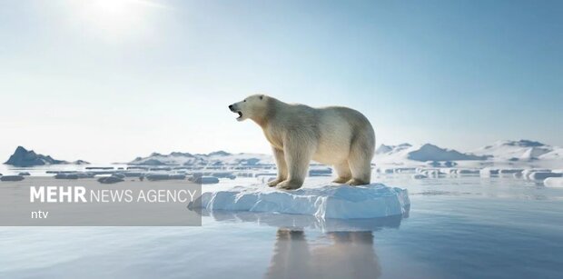 خطر آب شدن یخ های قطب شمال تا سال 2040