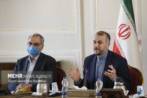 حسین امیرعبداللهیان وزیر امور خارجه درنشست مشترک با وزرای بهداشت درمان و آموزش پزشکی و  میراث فرهنگی و صنایع دستی درحال سخنرانی است