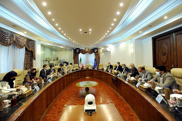 Iran oil minister meets with Venezuela FM in Tehran