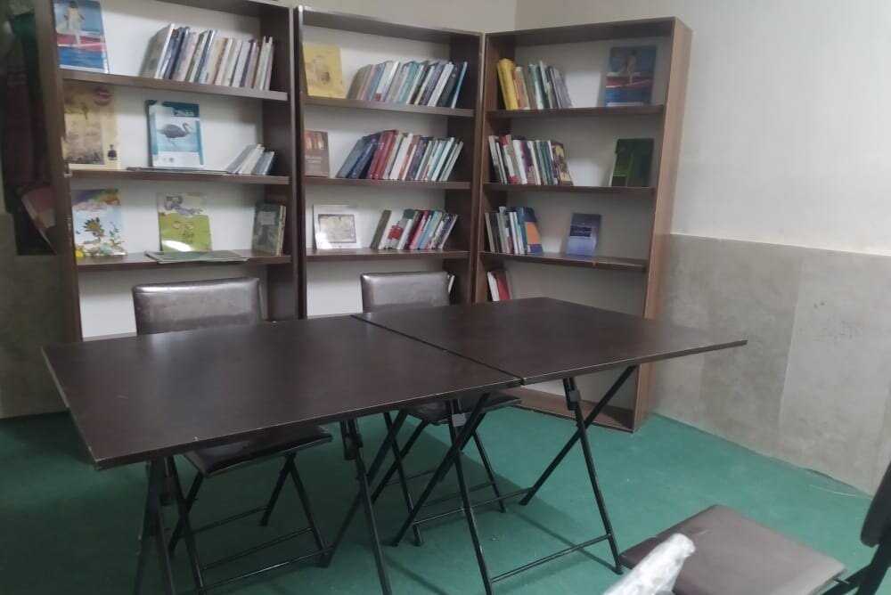 دو کتابخانه روستایی در شهرستان دشتی راه اندازی شد