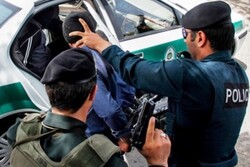 دستگیری۳۳نفر از مخلان نظم عمومی و مزاحمین نوامیس در لارستان