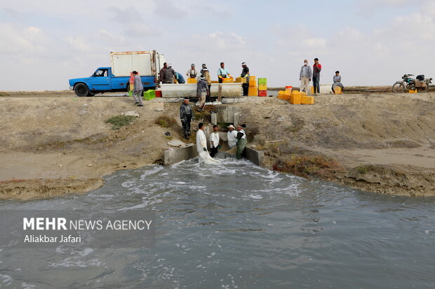 مردمی‌سازی آبزی‌پروری در بوشهر/ ساحل نشینان میگو تولید می‌کنند