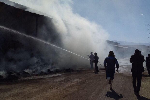 آتش در انبار علوفه‌های گاوداری سلطان آباد از توابع کنگاور