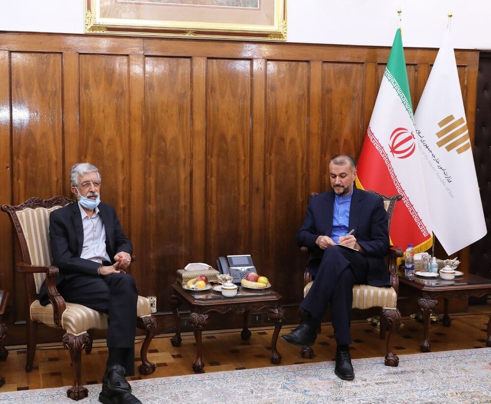 ایرانی وزیر خارجہ امیر عبداللہیان  کا بیرون ملک فارسی زبان کو فروغ دینے کے عزم کا اظہار
