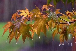 آغاز بارش‌های پاییزی در اصفهان از نیمه دوم آبان/ هوای مناطق شرقی استان سردتر می‌شود