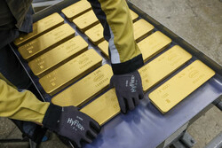 کشف بیش از ۱۶۷ میلیارد ریال طلا و ارز قاچاق در خراسان رضوی