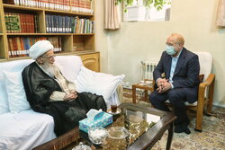دیدار رئیس مجلس شورای اسلامی با مراجع تقلید قم