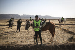 ظرفیت بالای پرورش «اسب اصیل عرب» در آبادان