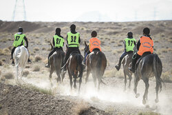 Endurance horse racing in Isfahan