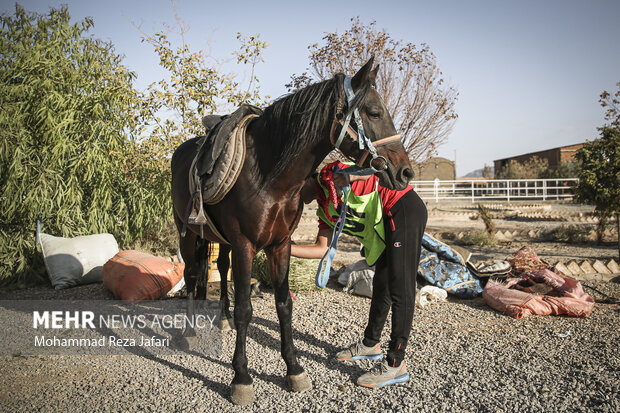 Endurance horse racing in Isfahan