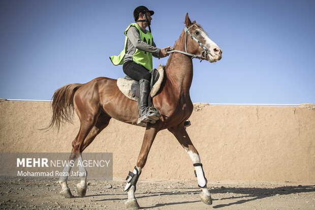 Endurance horse racing in Isfahan