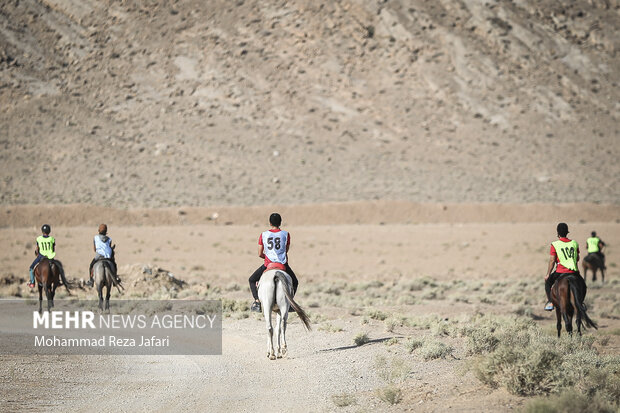 Endurance horse racing in Isfahan