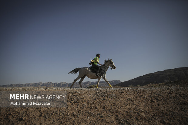 Endurance horse racing in Isfahan